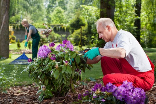 Team members performing garden clearance in Chingford