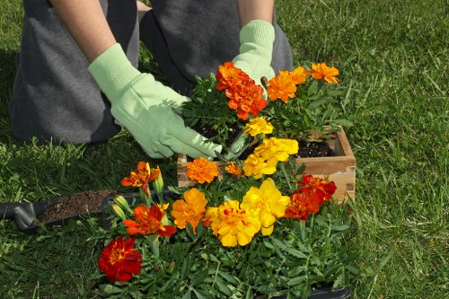 Tools and equipment used for garden clearance services