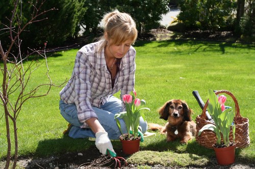 Maintained lush green lawn with vibrant plants