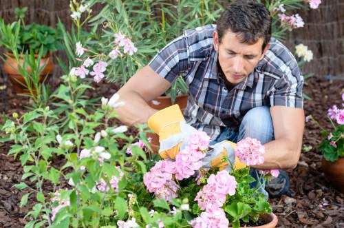 Accepted payment methods list for Chingford gardening