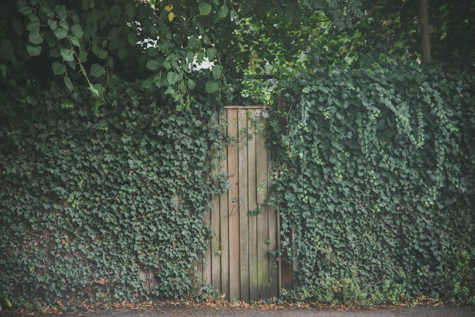 A narrow garden pathway composed of packed dirt and scattered small stones, winding alongside a wooden fence made of vertical slats. The fence casts elongated shadows across the path due to the low an